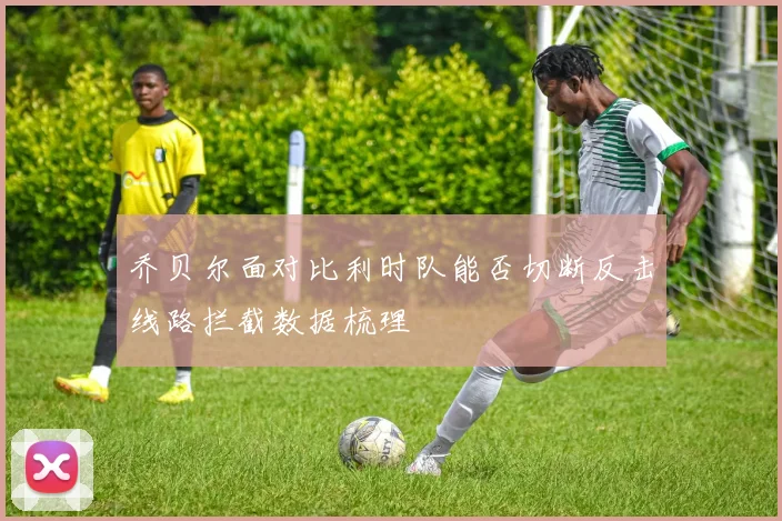 乔贝尔面对比利时队能否切断反击线路拦截数据梳理