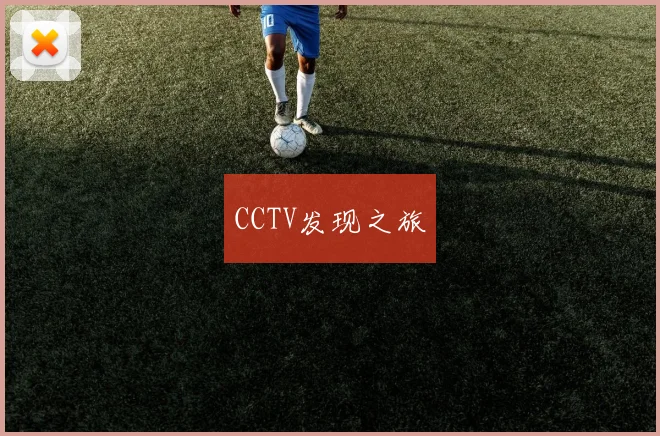 CCTV发现之旅