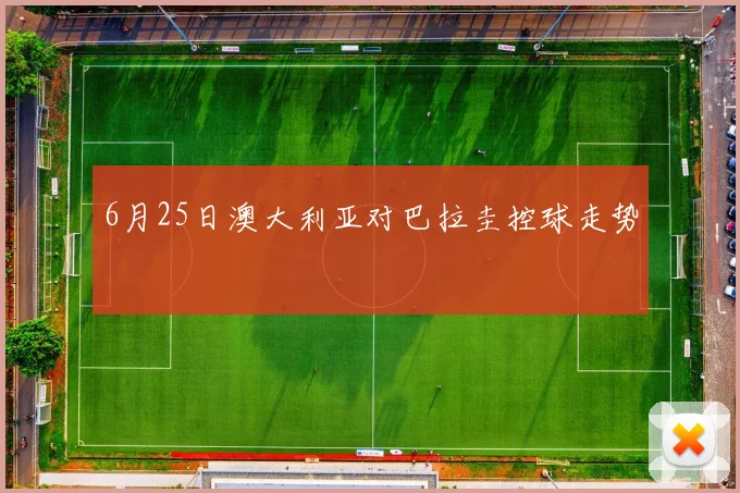 6月25日澳大利亚对巴拉圭控球走势