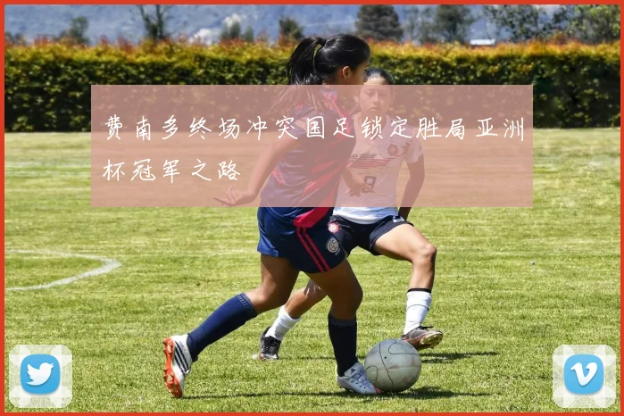 费南多终场冲突国足锁定胜局亚洲杯冠军之路